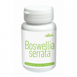 Activ Star BOSWELLIA SERRATA 60 VEGAN KAPSÚL - má protizápalové, antibakteriálne protialergické a regeneračné účinky.