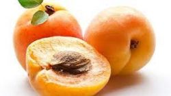 Ovocný džem od Sedmokrásky - Marhuľa jednodruhové ovocia, bez prídavkov jabĺk a pod., Pomer ovocie: cukor - 2: 1, s prídavkom vitamínu C. 520 ml Rodinná farma Sedmikráska