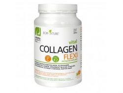 Collagen FLEXI so zmesou bylín, Glukosamínom, chondroitínom, vit. C a K2 300 g. FLEXI doplnok stravy na báze kolagénu, glukosamínu, chondroitínu, horčíka, vitamínu, bylín a kyseliny hyalurónový. Pomarančová aróma.